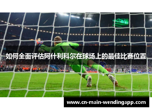 如何全面评估阿什利科尔在球场上的最佳比赛位置