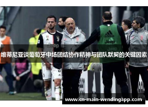 维蒂尼亚谈葡萄牙中场团结协作精神与团队默契的关键因素