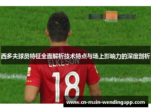 西多夫球员特征全面解析技术特点与场上影响力的深度剖析