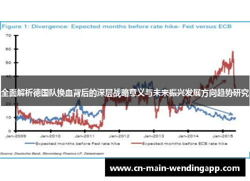 全面解析德国队换血背后的深层战略意义与未来振兴发展方向趋势研究