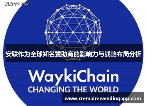 安联作为全球知名赞助商的影响力与战略布局分析