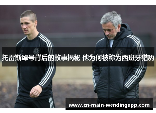 托雷斯绰号背后的故事揭秘 他为何被称为西班牙猎豹