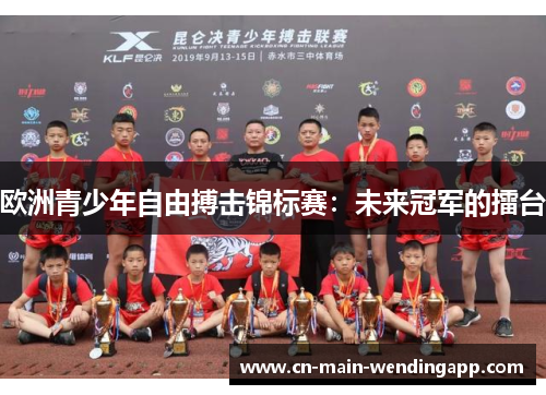 欧洲青少年自由搏击锦标赛：未来冠军的擂台