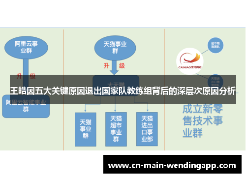 王皓因五大关键原因退出国家队教练组背后的深层次原因分析