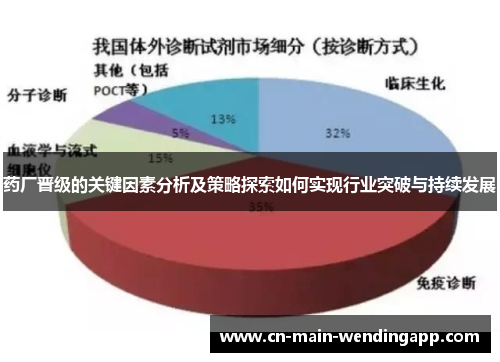 药厂晋级的关键因素分析及策略探索如何实现行业突破与持续发展