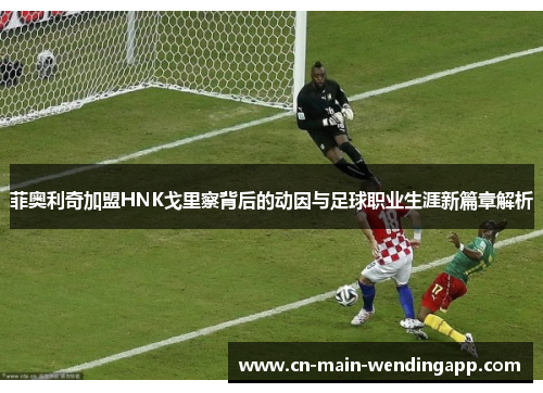 菲奥利奇加盟HNK戈里察背后的动因与足球职业生涯新篇章解析